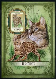 CHAD 2017  CATS  SOUVENIR SHEET MINT NH