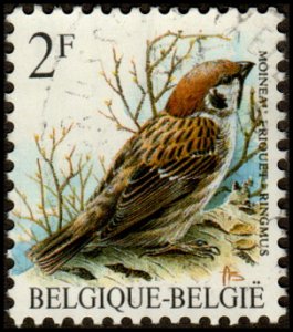 Belgium 1218 - Used - 2fr Eurasian Tree Sparrow (1989)