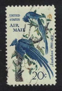 USA Collie's Magpie-jays Birds Audubon 5c T1 1963 Canc SG#1223 MI#854