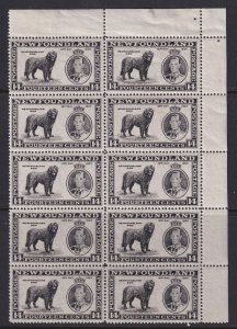 Newfoundland, Unitrade 238i, vi, vii, viii, MNH (* sel and bott pr) block