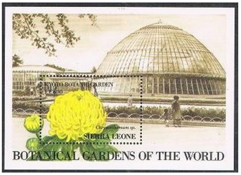 Sierra Leone 1428, MNH. Michel 1727. Kyoto Botanic Gardens, 1991. Chrysanthemum.