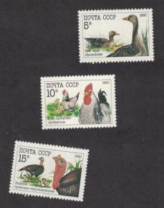 Russia 5909 - 5911 - Birds. Set Of 3. MNH. OG.   #02 RUSS5909s