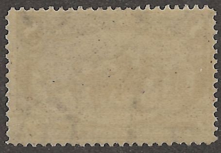 U.S. Scott # 289; 1898 8c vio brn Troops Guarding Train 