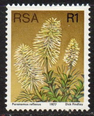 South Africa Sc #490 MNH