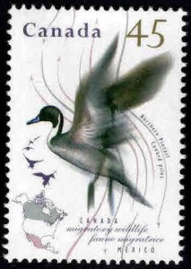 Canada Scott 1565 MNH** Migratory Northern Pintail stamp