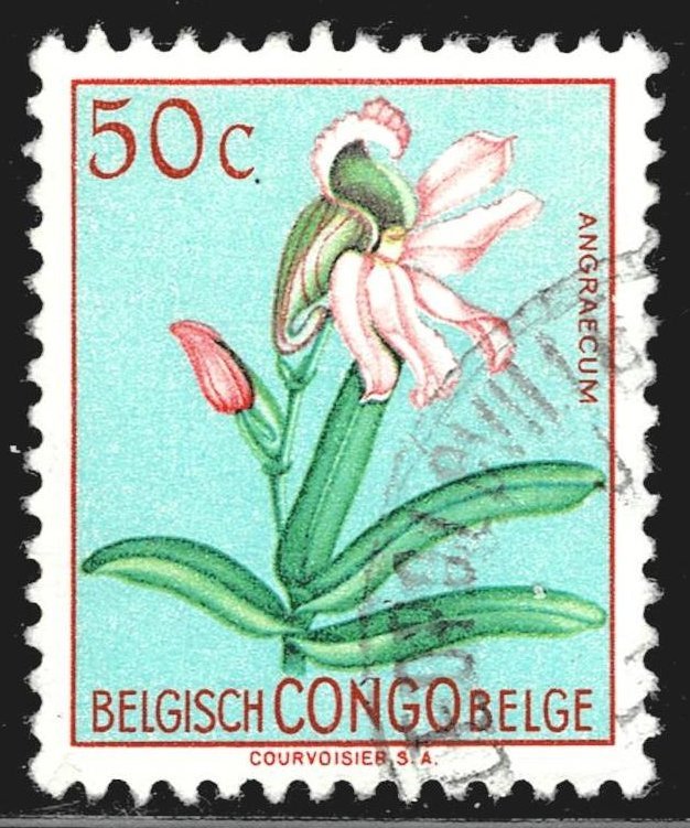 Belgian Congo 268 - used