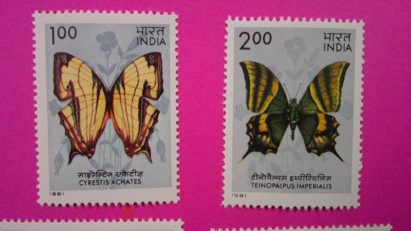India 1981 Butterflies Scott# 935-938 Complete Mint VF-XF NH set of 4
