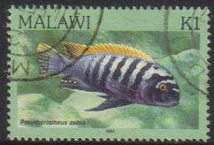 Malawi - 1984 Fishes K1 Used SG 700