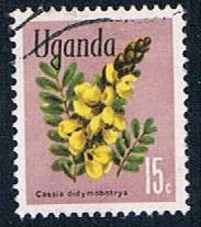 Uganda flowers (UP24R102)