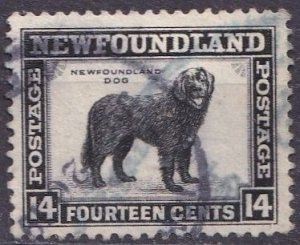 Canada: Newfoundland 261 (used) 14c dog, black (1941)