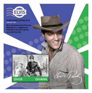 Ghana 2015 - Elvis Presley - Rising Sun - Souvenir sheet - Scott #2881 - MNH