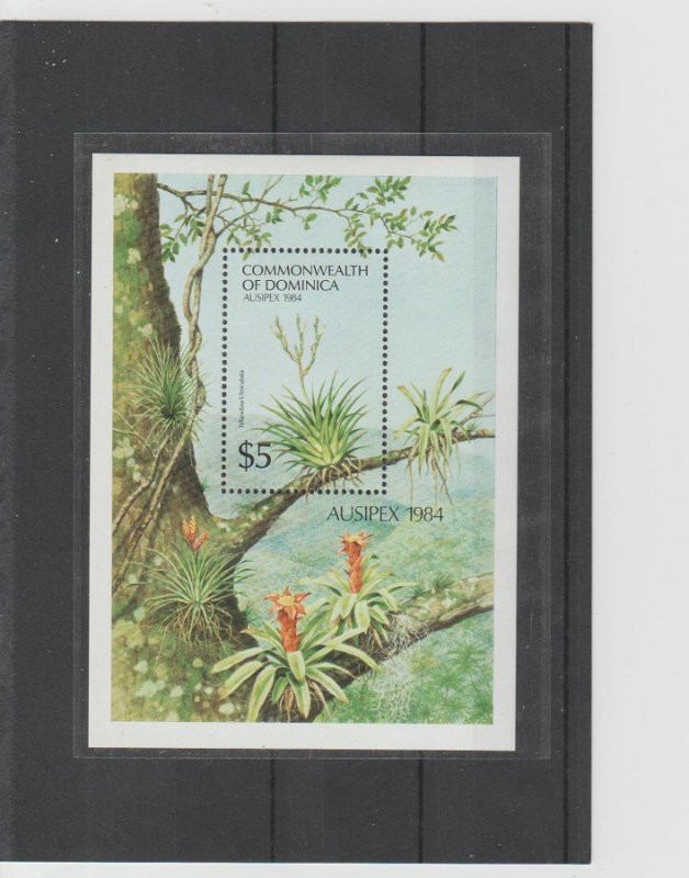 Dominica  Scott#  851  MNH  S/S  (1984 Spreading Airplant)