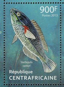 Tropical Fishes Stamp Halichoeres Trimaculatus Stethojulis Casturi S/S MNH #4196 