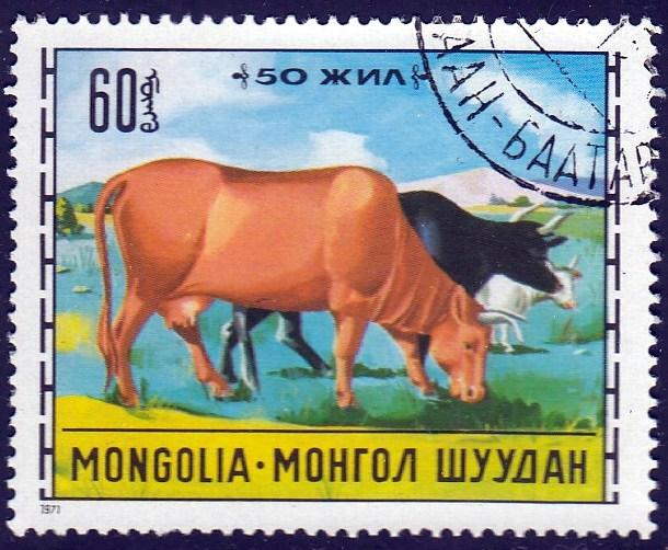Mongolia #647 Cattle, 1971. Used
