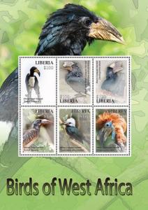 Liberia 2016 - West Africa Birds On Stamps Green - Sheetlet Postal Stamps MNH