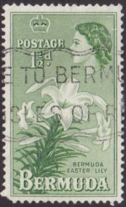 Bermuda #145 Used