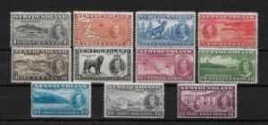 Newfoundland Scott # 233-243 set-2 F-VF NH scv $ 61 ! nice colors ! see pic!