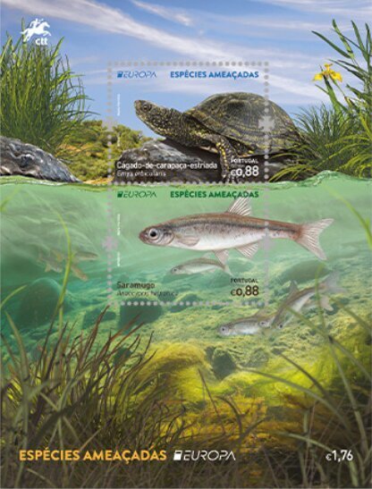 Portugal 2021 MNH Stamps Souvenir Sheet Europa CEPT Marine Life Turtles Fish