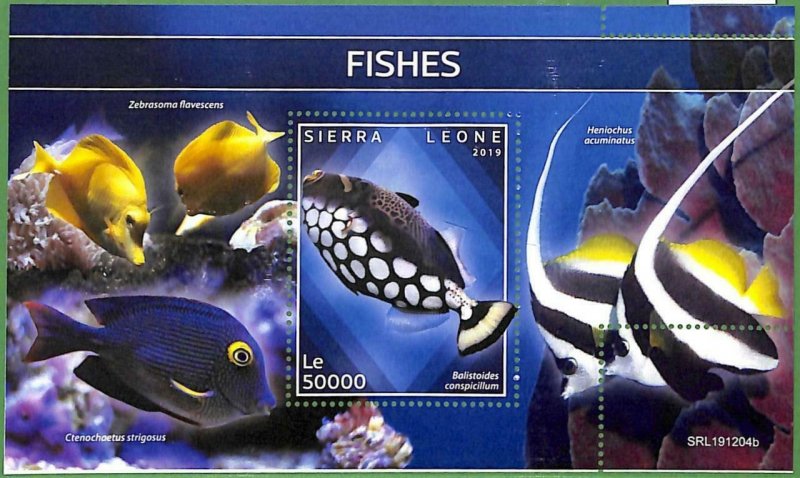 A2568 - SIERRA LEONE - ERROR: MISPERF, Souvenir sheet - 2019, Fish, Marine Life