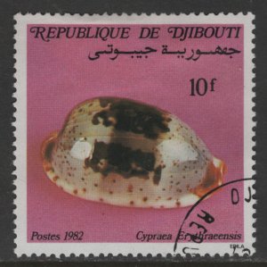 Djibouti 551 Cypraea Erythraeensis 1982