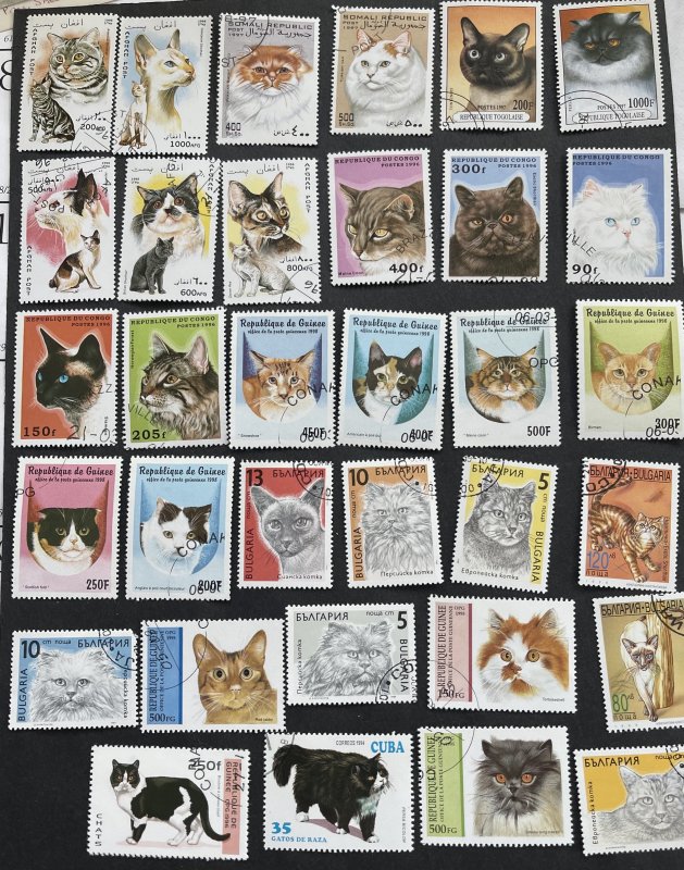 World  Wide Cat Stamps Mixture Cute Selection some series.  Free Shipping