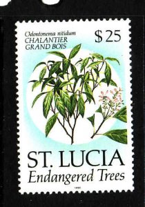 St Lucia-Sc#964-unused NH $25 Chalantier grand bois-Trees-1990-