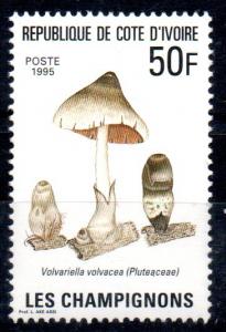 IVORY COAST - MUSHROOMS - PLUTEACEAE - 50F - 1995 -  