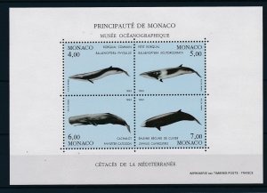 [39561] Monaco 1993 Marine life whales Souvenir Sheet MNH