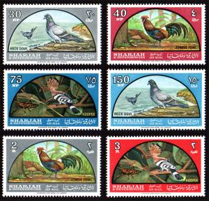 Sharjah Mi #113-118 set/6 mnh - 1965 Native Birds - dove, fowl, hoopoe