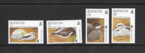 BIRDS - BERMUDA #798-801  WWF  MNH