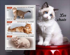 Chad - 2023 Cats, Scottish Fold, Maine Coon - 3 Stamp Sheet - TCH230104a