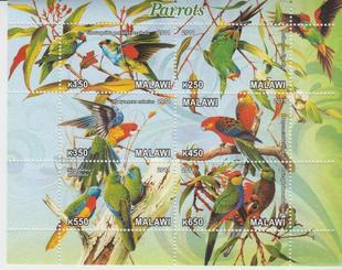 Malawi 2011 M/S Birds Animals Fauna Parrots Nature Bird Plants Parrot Stamps MNH