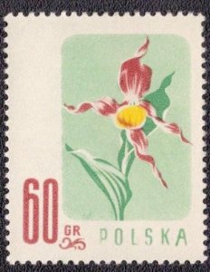 Poland 785 1957 MNH