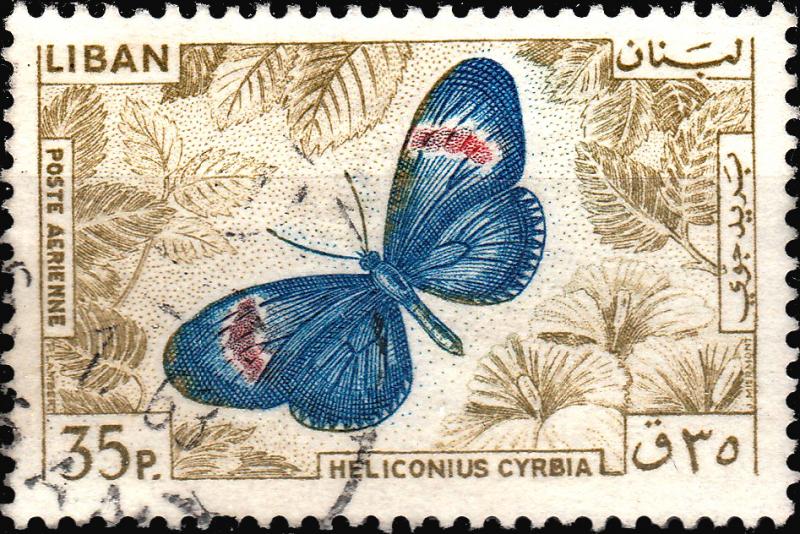 LEBANON - 1965 - Mi.901 35P Butterfly (Heliconius cybria) - VFU
