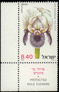 Israel #715-717, Complete Set(3), W/Tabs, 1978, Flowers, Never Hinged