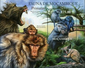 Primates Stamp Cercopithecus Mitis Papio Ursinus S/S MNH #5042 / Bl.522