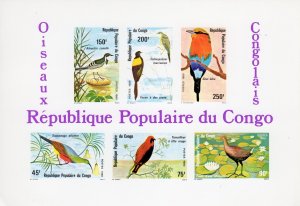 Congo People's Republic 1980 Sc# 556a BIRDS OF CONGO DELUXE Souvenir She...