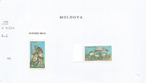 MOLDOVA - 1998 - Birds - Perf 2v Set - M N H