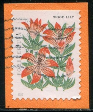 5677 US (58c) Mountain Flora - Wood Lily SA bklt, used on paper