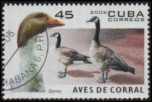 Cuba 4590 - Cto - 45c Canada Geese (2006) (cv $0.90)