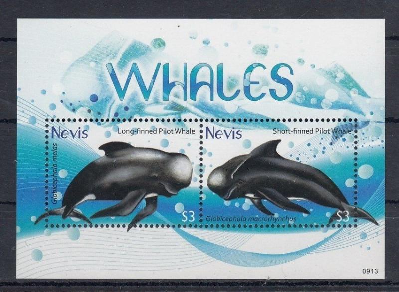 NEVIS SHEET WHALES MARINE LIFE