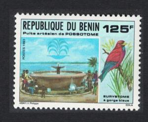 Benin Blue-throated Roller Bird Possotome Artesian Well SG#1164