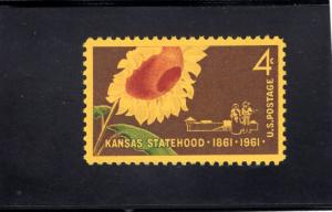 1183 Kansas, MNH