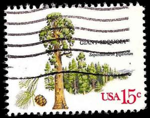# 1764 USED GIANT SEQUOIA