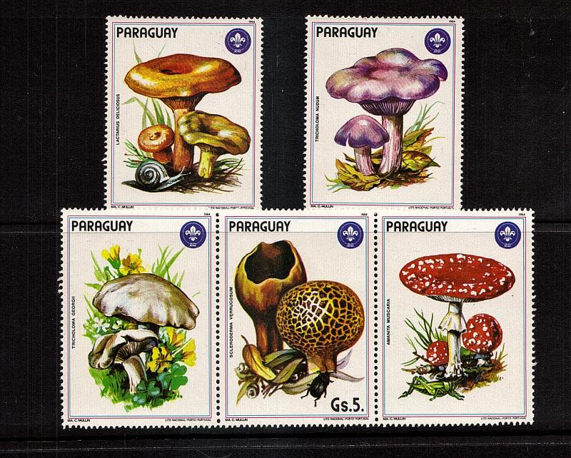 Large Muishrooms of Paraguay  5 var..mnh