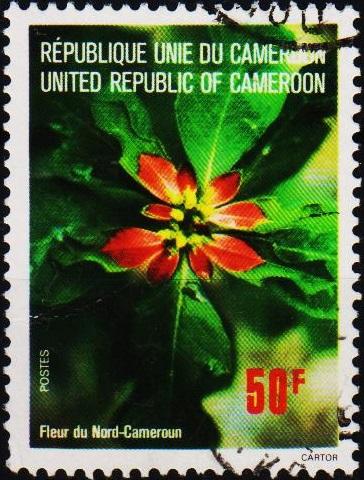 Cameroun. 1976 50f. S.G.767 Fine Used