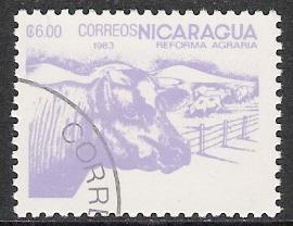 Nicaragua #1302 Cattle CTO NH