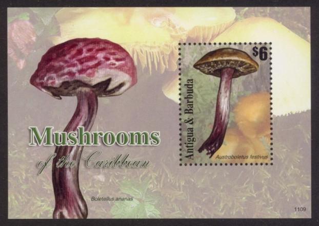 Antigua Sc# 3140 MNH Mushrooms of the Caribbean (S/S)