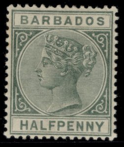 BARBADOS QV SG89, ½d dull green, M MINT. Cat