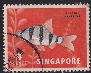 Singapore 1962 - 66 QE2 4ct Tiger Barb SG 65 ( J1448 ) 